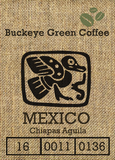 Mexico Chiapas Aguila