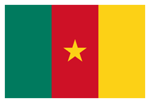 cameroon tgr 01