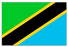 tanzania cti 03